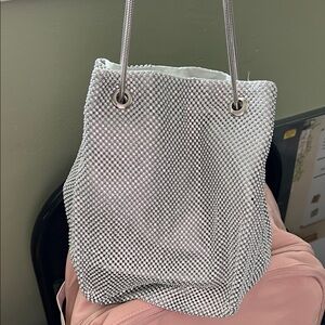 Amazon Silver Mesh Shoulder Bag